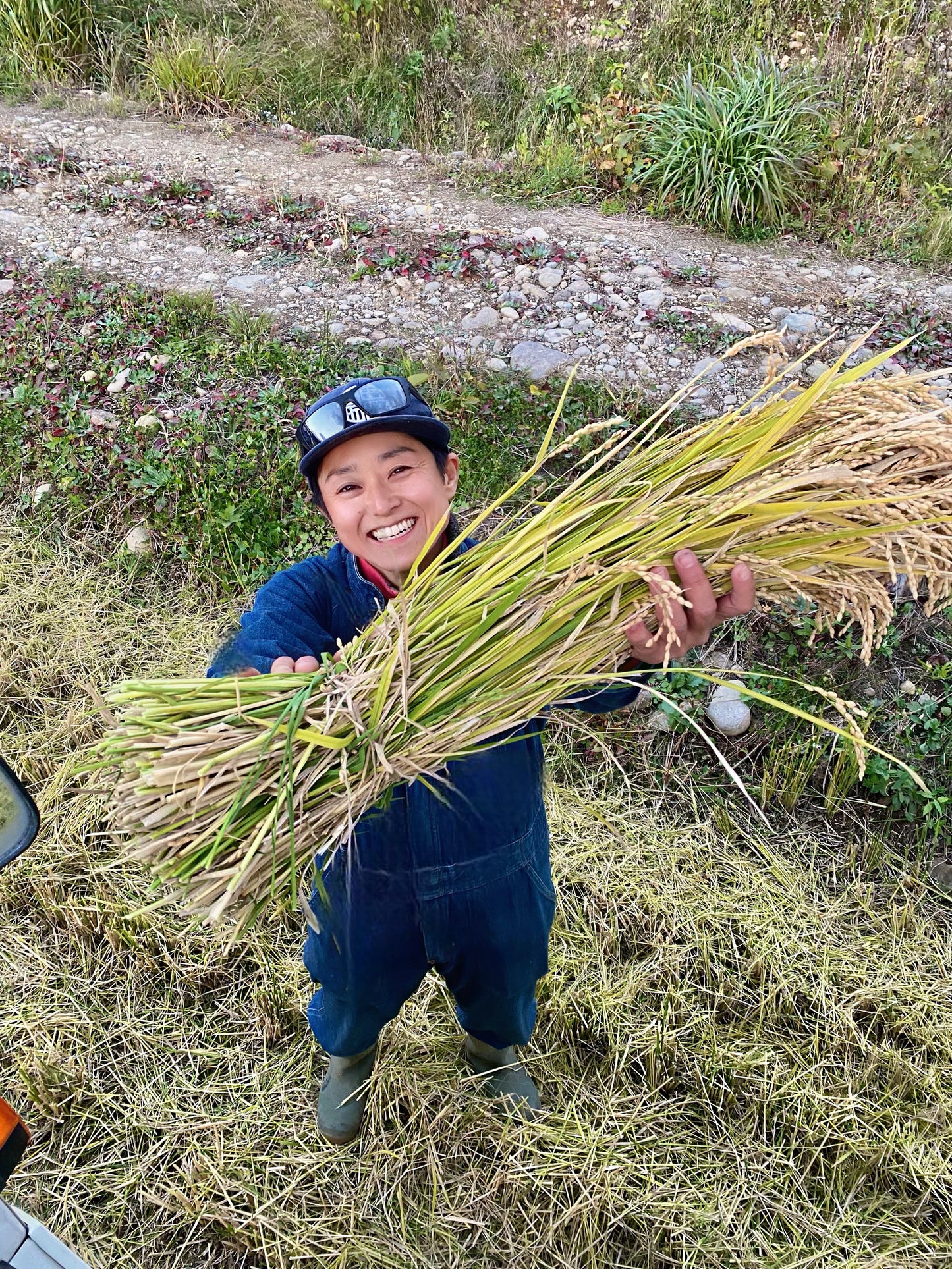 令和７年産　ゆめぴりか