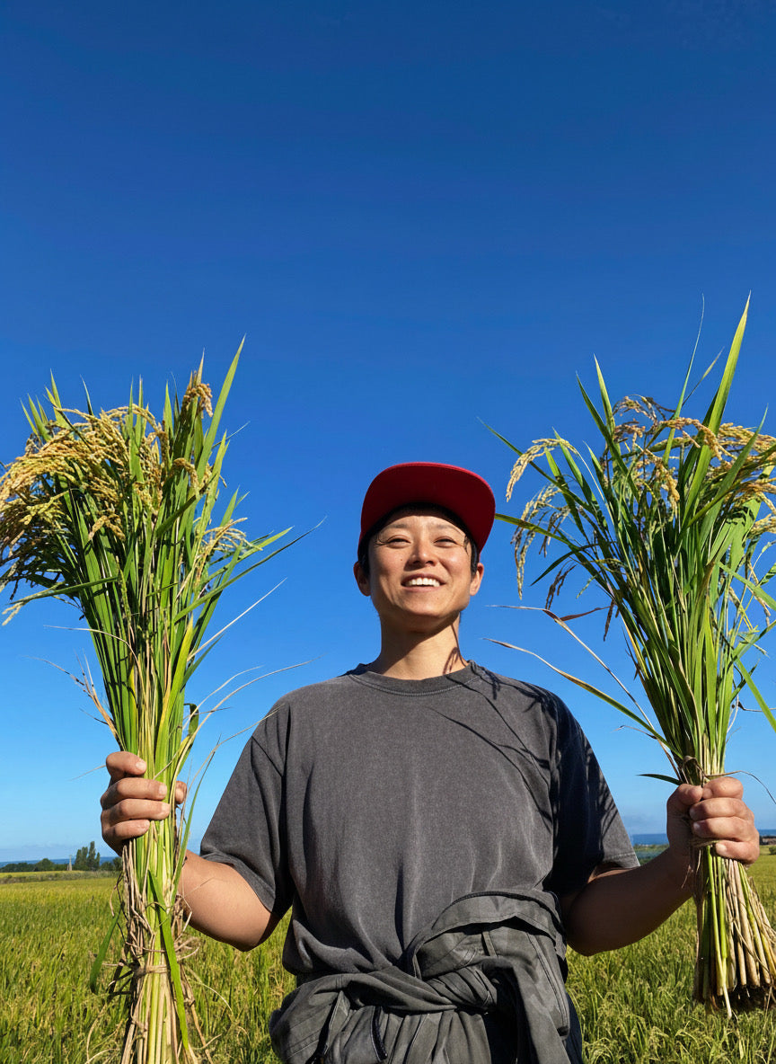 令和７年産　ゆめぴりか