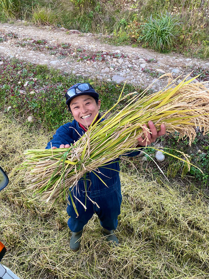 【新米】令和７年産　ゆめぴりか
