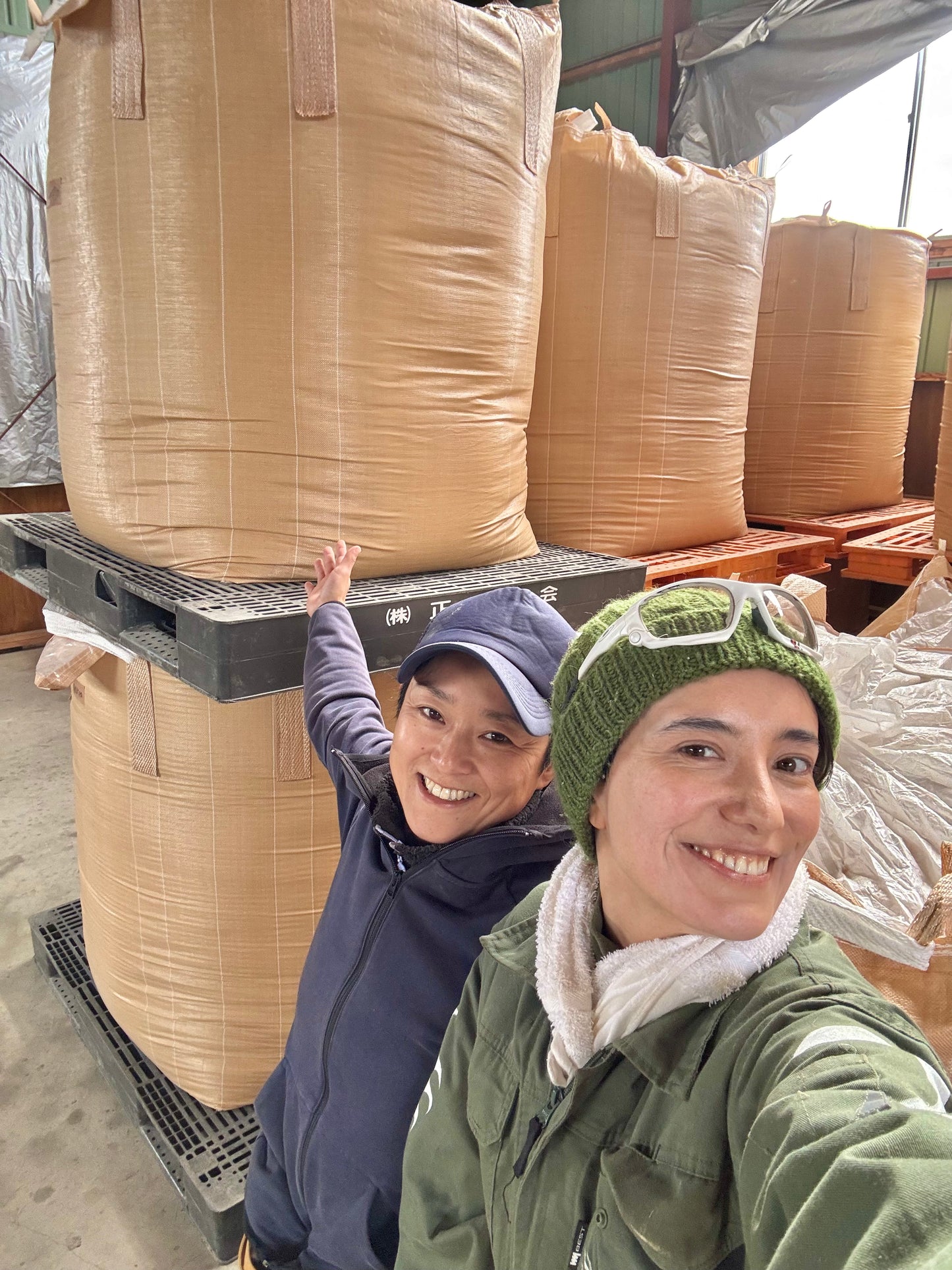 【新米】令和７年産　ゆめぴりか