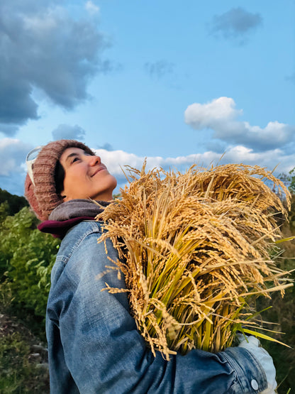 【新米】令和７年産　ゆめぴりか